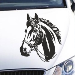Aufkleber Auto Pferd Fohlen Stute Hengst Hufeisen Glück Spruch Dekor Stall Pferdehof Reiten Sport Familie Pony Sticker