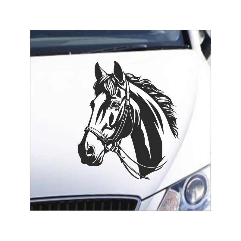 Aufkleber Auto Pferd Fohlen Stute Hengst Hufeisen Glück Spruch Dekor Stall Pferdehof Reiten Sport Familie Pony Sticker