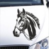 Aufkleber Auto Pferd Fohlen Stute Hengst Hufeisen Glück Spruch Dekor Stall Pferdehof Reiten Sport Familie Pony Sticker