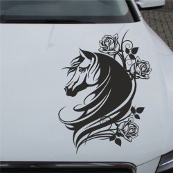 Aufkleber Auto Pferd Fohlen Stute Hengst Hufeisen Glück Spruch Dekor Stall Pferdehof Reiten Sport Familie Pony Sticker