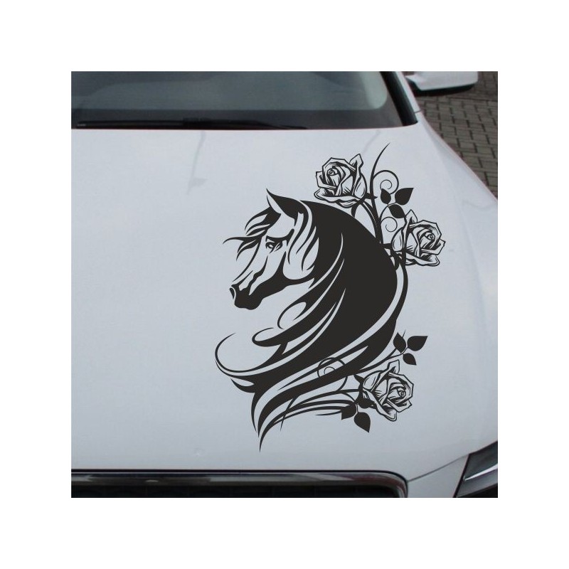 Aufkleber Auto Pferd Fohlen Stute Hengst Hufeisen Glück Spruch Dekor Stall Pferdehof Reiten Sport Familie Pony Sticker