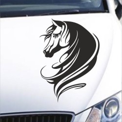 Aufkleber Auto Pferd Fohlen Stute Hengst Hufeisen Glück Spruch Dekor Stall Pferdehof Reiten Sport Familie Pony Sticker