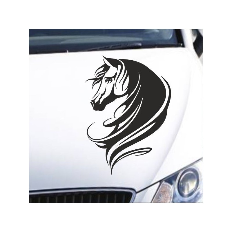 Aufkleber Auto Pferd Fohlen Stute Hengst Hufeisen Glück Spruch Dekor Stall Pferdehof Reiten Sport Familie Pony Sticker