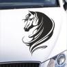 Aufkleber Auto Pferd Fohlen Stute Hengst Hufeisen Glück Spruch Dekor Stall Pferdehof Reiten Sport Familie Pony Sticker