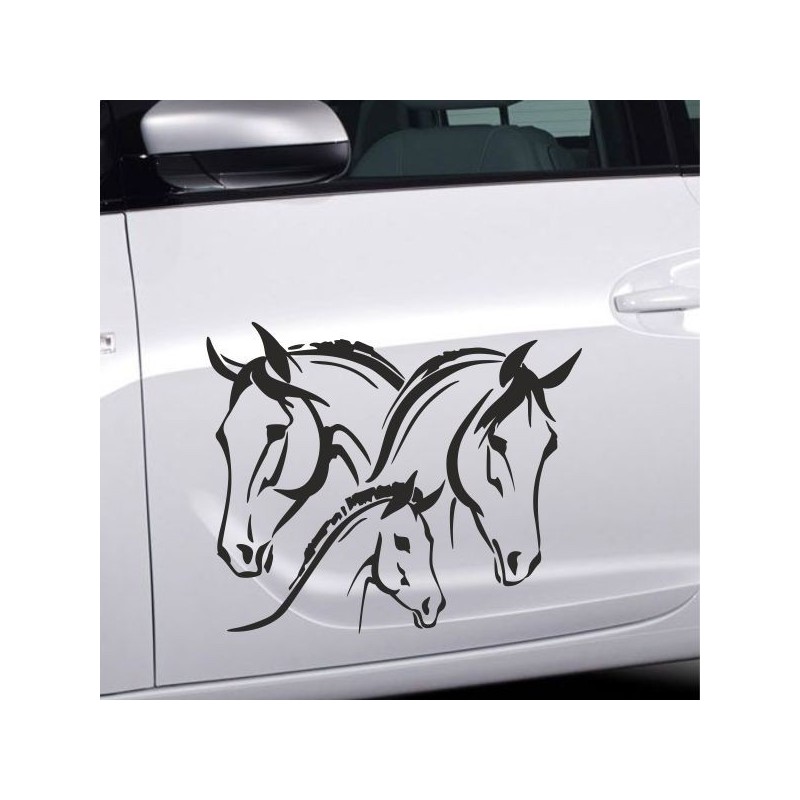 Aufkleber Auto Pferd Fohlen Stute Hengst Hufeisen Glück Spruch Dekor Stall Pferdehof  Sport Familie Pony Kinder Pferdeanhänger