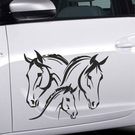 Aufkleber Auto Pferd Fohlen Stute Hengst Hufeisen Glück Spruch Dekor Stall Pferdehof  Sport Familie Pony Kinder Pferdeanhänger