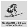 Aufkleber Auto Pferd Fohlen Stute Hengst Hufeisen Glück Spruch Dekor Stall Pferdehof  Sport Familie Pony Kinder Pferdeanhänger