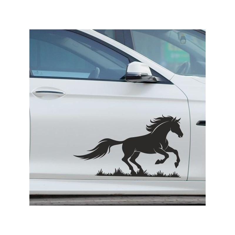 Aufkleber Auto Pferd Fohlen Stute Hengst Hufeisen Glück Spruch Dekor Stall Pferdehof  Sport Familie Pony Kinder Pferdeanhänger
