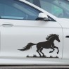 Aufkleber Auto Pferd Fohlen Stute Hengst Hufeisen Glück Spruch Dekor Stall Pferdehof  Sport Familie Pony Kinder Pferdeanhänger