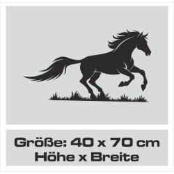 Aufkleber Auto Pferd Fohlen Stute Hengst Hufeisen Glück Spruch Dekor Stall Pferdehof  Sport Familie Pony Kinder Pferdeanhänger
