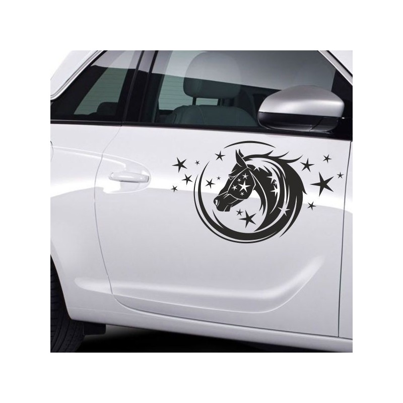 Aufkleber Auto Pferd Fohlen Stute Hengst Hufeisen Glück Spruch Dekor Stall Pferdehof  Sport Familie Pony Kinder Pferdeanhänger