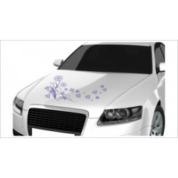 Motorhauben Aufkleber Auto Pusteblume Löwenzahn Blumen Blüten Tattoo Sticker Lack & Glas