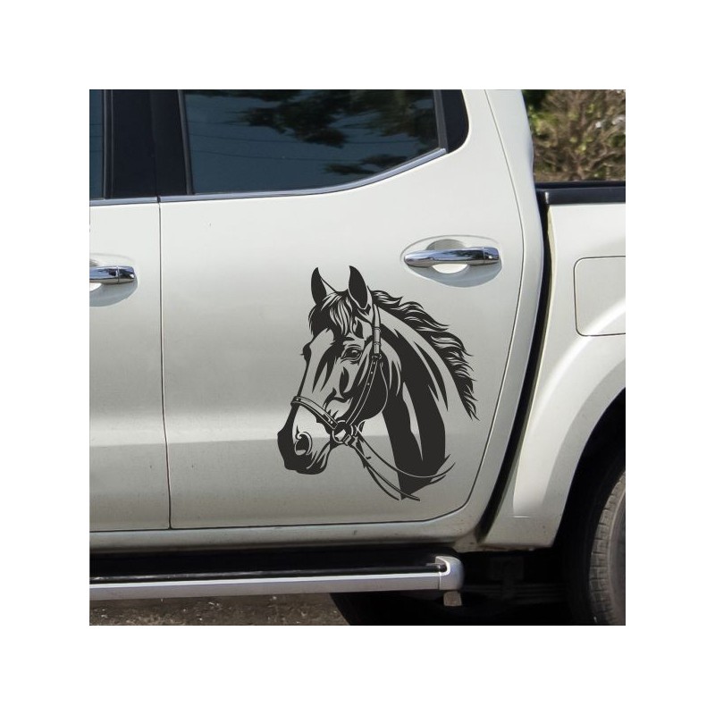 Aufkleber Auto Pferd Fohlen Stute Hengst Hufeisen Glück Spruch Dekor Stall Pferdehof  Sport Familie Pony Kinder Pferdeanhänger