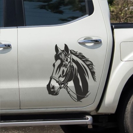 Aufkleber Auto Pferd Fohlen Stute Hengst Hufeisen Glück Spruch Dekor Stall Pferdehof  Sport Familie Pony Kinder Pferdeanhänger