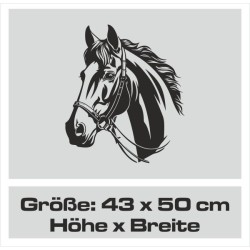 Aufkleber Auto Pferd Fohlen Stute Hengst Hufeisen Glück Spruch Dekor Stall Pferdehof  Sport Familie Pony Kinder Pferdeanhänger