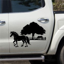 Aufkleber Auto Pferd Fohlen Stute Hengst Hufeisen Glück Spruch Dekor Stall Pferdehof  Sport Familie Pony Kinder Pferdeanhänger