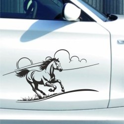 Aufkleber Auto Pferd Fohlen Stute Hengst Hufeisen Glück Spruch Dekor Stall Pferdehof  Sport Familie Pony Kinder Pferdeanhänger