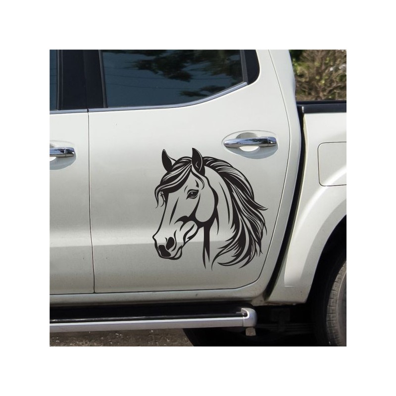 Aufkleber Auto Pferd Fohlen Stute Hengst Hufeisen Glück Spruch Dekor Stall Pferdehof  Sport Familie Pony Kinder Pferdeanhänger