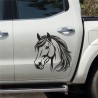 Aufkleber Auto Pferd Fohlen Stute Hengst Hufeisen Glück Spruch Dekor Stall Pferdehof  Sport Familie Pony Kinder Pferdeanhänger