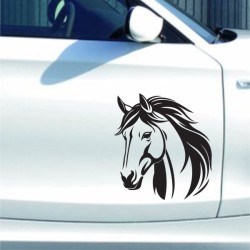 Aufkleber Auto Pferd Fohlen Stute Hengst Hufeisen Glück Spruch Dekor Stall Pferdehof  Sport Familie Pony Kinder Pferdeanhänger