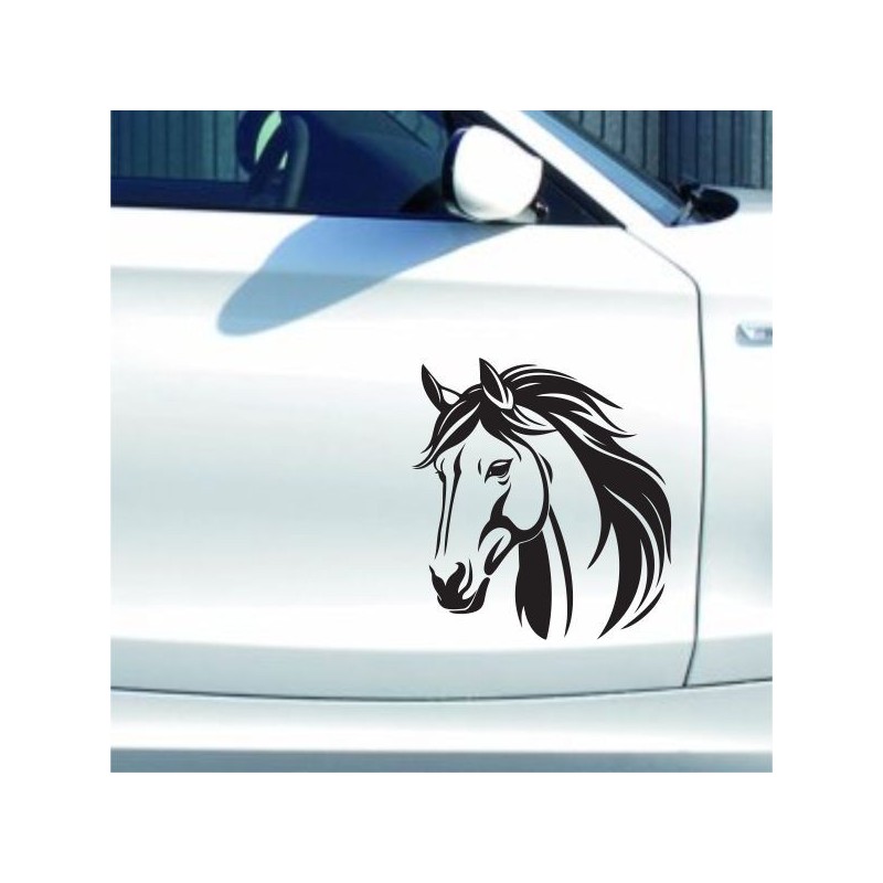 Aufkleber Auto Pferd Fohlen Stute Hengst Hufeisen Glück Spruch Dekor Stall Pferdehof  Sport Familie Pony Kinder Pferdeanhänger