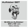 Aufkleber SET Auto Car Tattoo Style Seiten Tribal Dekor Pferd Gecko Power Blumen Ranke Fee Hexe Blumen Blüten Gecko Farbe