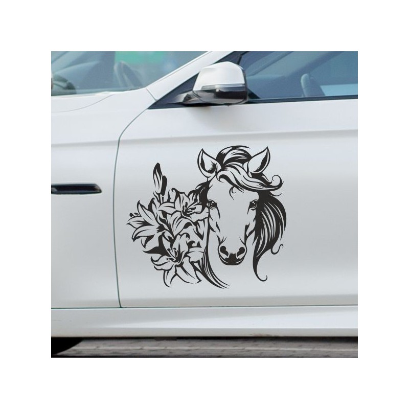 Aufkleber Auto Pferd Fohlen Stute Hengst Hufeisen Glück Spruch Dekor Stall Pferdehof  Sport Familie Pony Kinder Pferdeanhänger