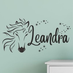 Wandaufkleber Aufkleber Wand Wandtattoo Tattoo Pferde Dekor Pferd Stute Pony Hengst Reiten Hof Sport Kids Hufeisen Glück Hof