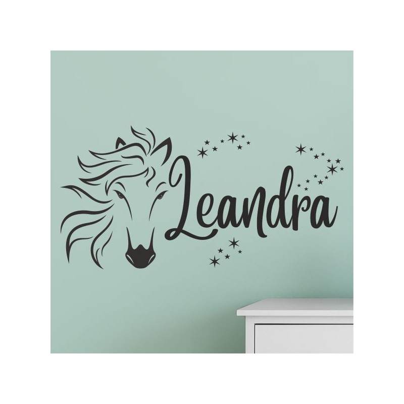 Wandaufkleber Aufkleber Wand Wandtattoo Tattoo Pferde Dekor Pferd Stute Pony Hengst Reiten Hof Sport Kids Hufeisen Glück Hof