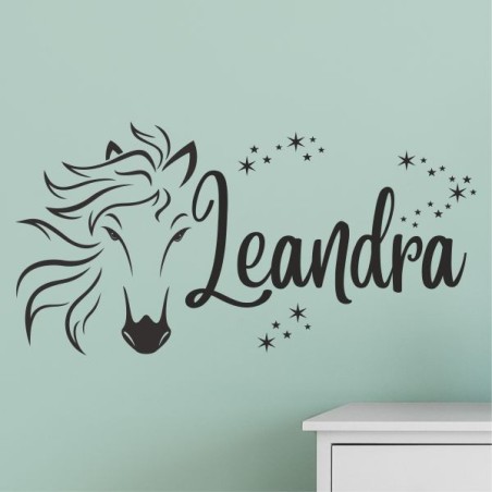 Wandaufkleber Aufkleber Wand Wandtattoo Tattoo Pferde Dekor Pferd Stute Pony Hengst Reiten Hof Sport Kids Hufeisen Glück Hof