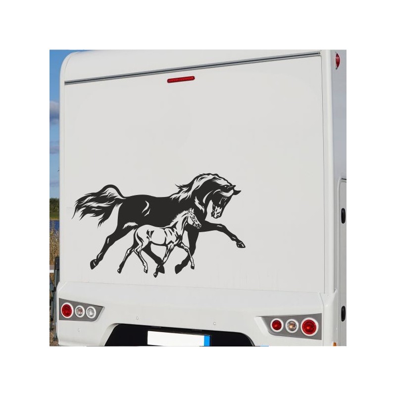 Aufkleber Wohnmobil Wohnwagen Reise Camping Auto Reisemobil Möwe Meer Kompass Globus Strand Palme Urlaub Spruch Familie Zuhause