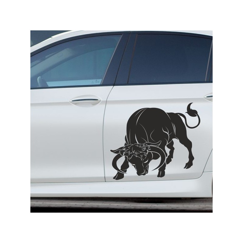Aufkleber SET Auto Car Tattoo Style Seiten Tribal Dekor Pferd Gecko Power Blumen Ranke Fee Hexe Blumen Blüten Gecko Farbe
