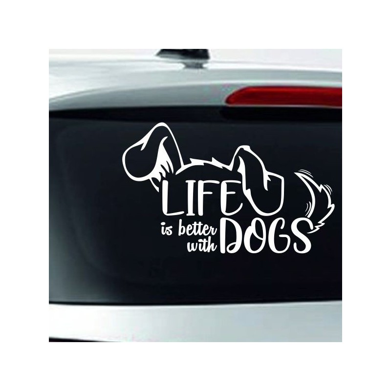 Aufkleber Auto Heckscheibe Car Tattoo Style La Familia Pferd Pferde Gecko Sprüche Power Blumen Ranke Fee Hexe Faultier Kolben