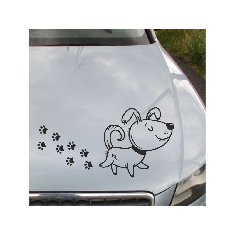 Aufkleber Auto Motorhaube Car Style Tuning Drache Tribal Dekor Rosen Blumen Schmetteringe Tattoo´s Fun Comic Flower Tiere