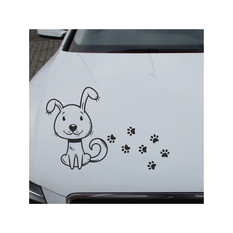 Aufkleber Auto Motorhaube Car Style Tuning Drache Tribal Dekor Rosen Blumen Schmetteringe Tattoo´s Fun Comic Flower Tiere