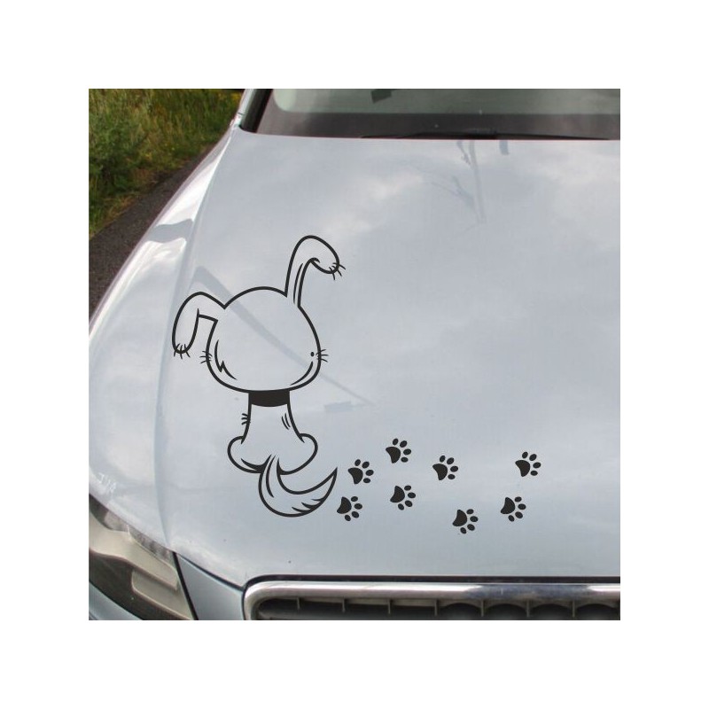 Aufkleber Auto Motorhaube Car Style Tuning Drache Tribal Dekor Rosen Blumen Schmetteringe Tattoo´s Fun Comic Flower Tiere