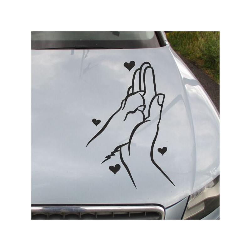 Aufkleber Auto Motorhaube Car Style Tuning Drache Tribal Dekor Rosen Blumen Schmetteringe Tattoo´s Fun Comic Flower Tiere