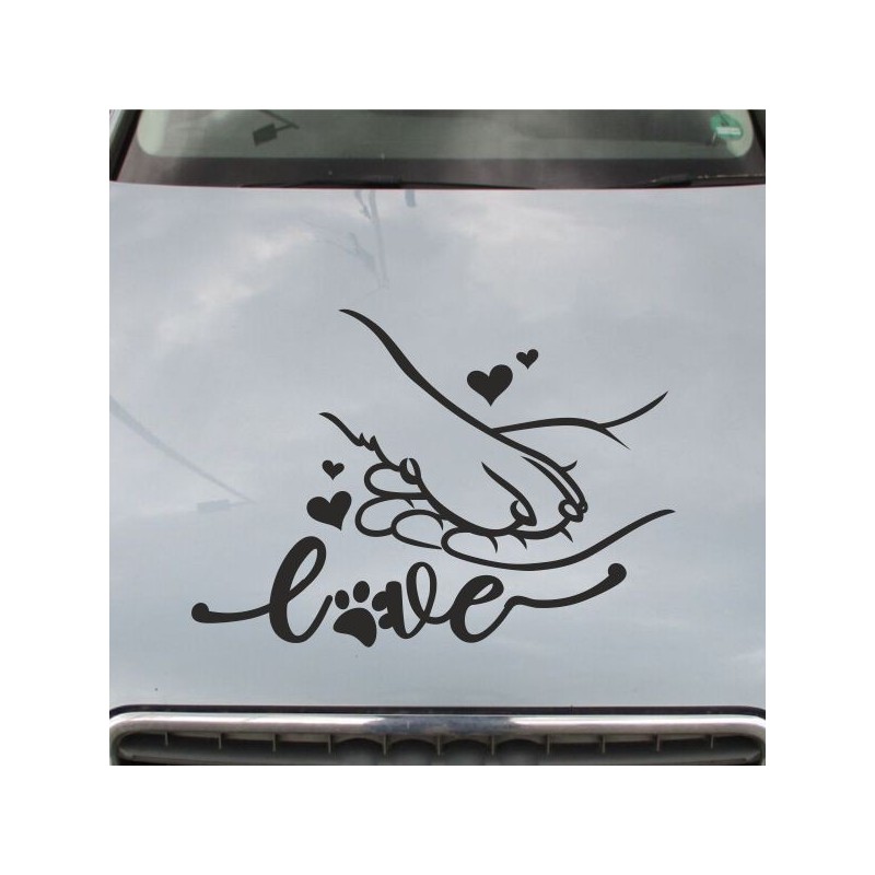 Aufkleber Auto Motorhaube Car Style Tuning Drache Tribal Dekor Rosen Blumen Schmetteringe Tattoo´s Fun Comic Flower Tiere