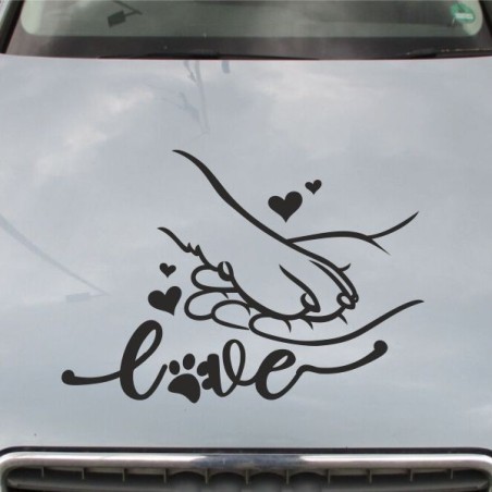 Aufkleber Auto Motorhaube Car Style Tuning Drache Tribal Dekor Rosen Blumen Schmetteringe Tattoo´s Fun Comic Flower Tiere