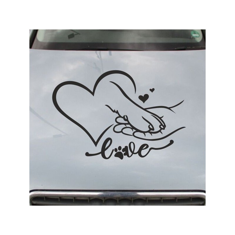 Aufkleber Auto Motorhaube Car Style Tuning Drache Tribal Dekor Rosen Blumen Schmetteringe Tattoo´s Fun Comic Flower Tiere