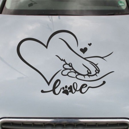 Aufkleber Auto Motorhaube Car Style Tuning Drache Tribal Dekor Rosen Blumen Schmetteringe Tattoo´s Fun Comic Flower Tiere