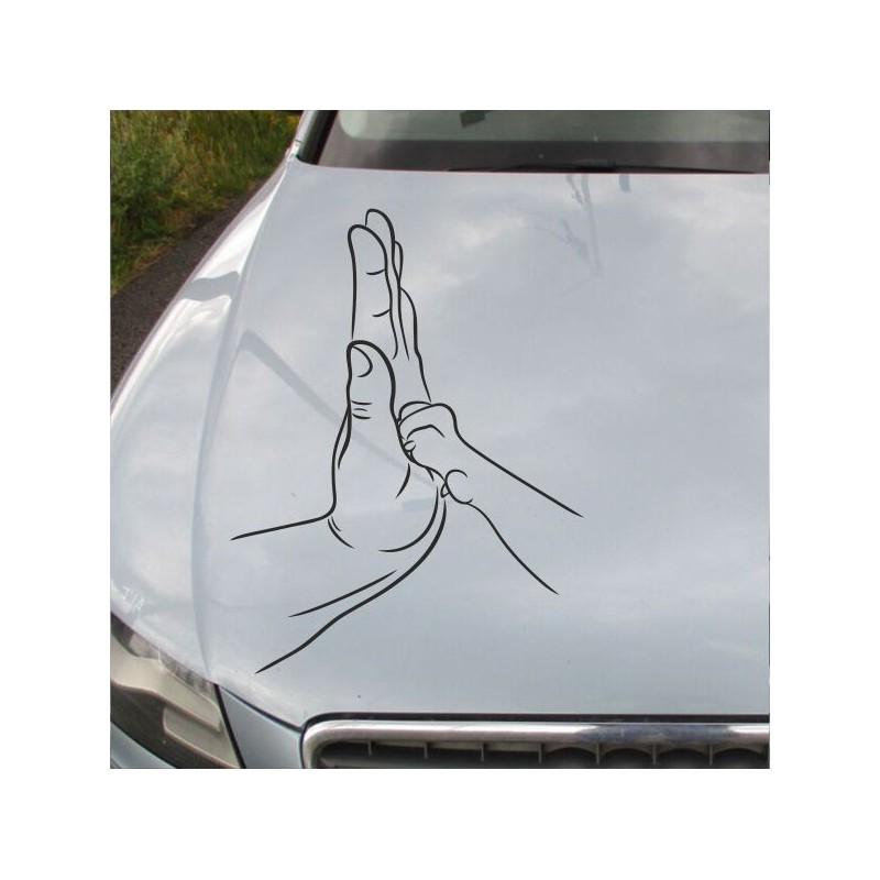 Aufkleber Auto Motorhaube Car Style Tuning Drache Tribal Dekor Rosen Blumen Schmetteringe Tattoo´s Fun Comic Flower Tiere