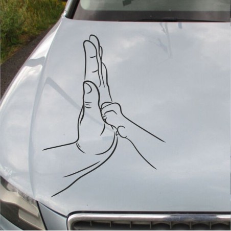 Aufkleber Auto Motorhaube Car Style Tuning Drache Tribal Dekor Rosen Blumen Schmetteringe Tattoo´s Fun Comic Flower Tiere