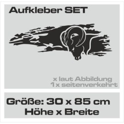 Aufkleber Pick UP Dodge Gelände Offroad Widder RAM Dekor Streifen Amerikanische Flagge Amerika BIG WHEEL Viper Seitenstreifen