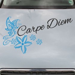 Aufkleber SET 2farbig Auto Seitendekor Tribal Car Style Blumen Gecko Landschaft Totenkopf Feder Vogel Rosen Tattoo Musik Strand