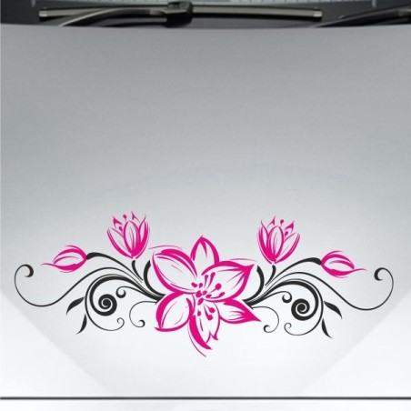 Aufkleber SET 2farbig Auto Seitendekor Tribal Car Style Blumen Gecko Landschaft Totenkopf Feder Vogel Rosen Tattoo Musik Strand