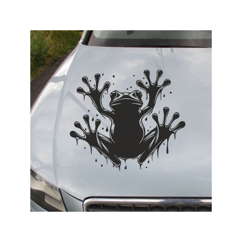 Aufkleber Auto Motorhaube Car Style Tuning Drache Tribal Dekor Rosen Blumen Schmetteringe Tattoo´s Fun Comic Flower Tiere