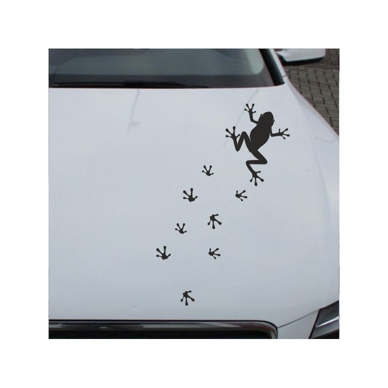 Aufkleber Auto Motorhaube Car Style Tuning Drache Tribal Dekor Rosen Blumen Schmetteringe Tattoo´s Fun Comic Flower Tiere