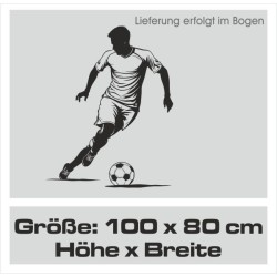 Wandaufkleber Wandtattoo Sport Fußball Kicker Spiel Kinder Kids Snowbord Skateboard Skater Stuntroller Roller BMX Basket Ball