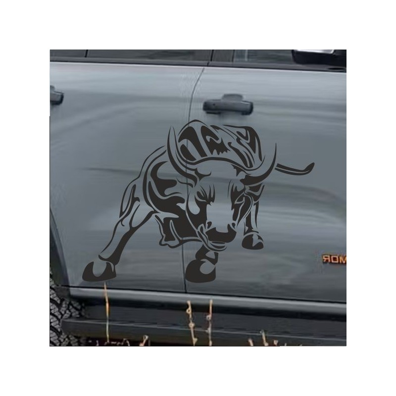 Aufkleber SET Auto Car Tattoo Style Seiten Tribal Dekor Pferd Gecko Power Blumen Ranke Fee Hexe Blumen Blüten Gecko Farbe